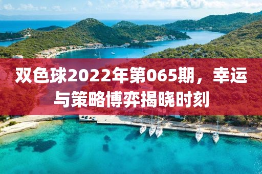 双色球2022年第065期，幸运与策略博弈揭晓时刻