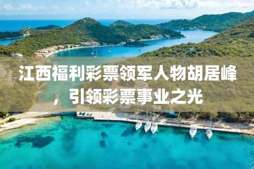 江西福利彩票领军人物胡居峰，引领彩票事业之光