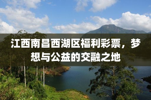 江西南昌西湖区福利彩票，梦想与公益的交融之地