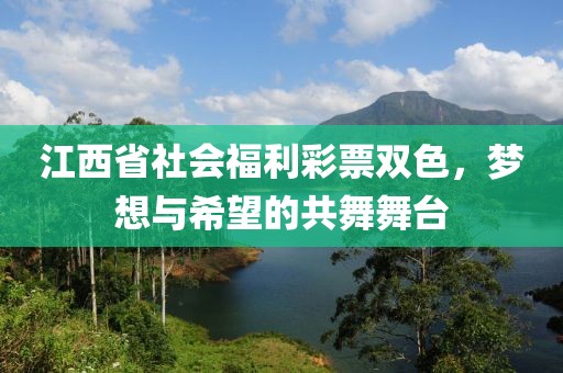 江西省社会福利彩票双色，梦想与希望的共舞舞台