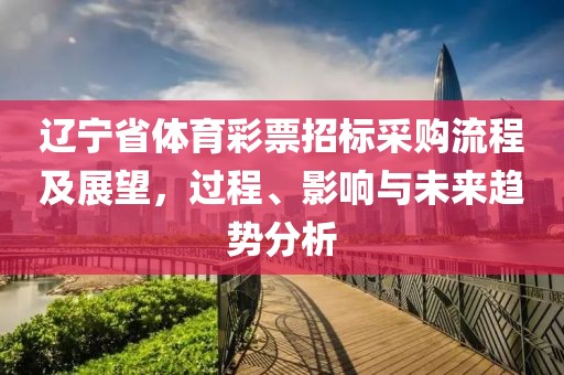 辽宁省体育彩票招标采购流程及展望，过程、影响与未来趋势分析