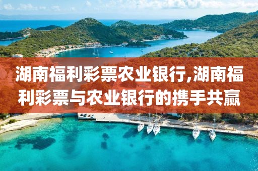 湖南福利彩票农业银行,湖南福利彩票与农业银行的携手共赢