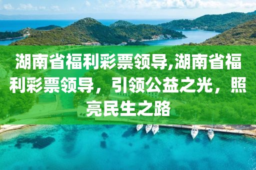 湖南省福利彩票领导,湖南省福利彩票领导，引领公益之光，照亮民生之路