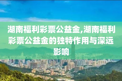 湖南福利彩票公益金,湖南福利彩票公益金的独特作用与深远影响