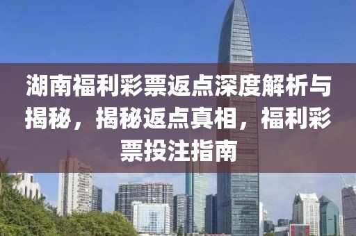 湖南福利彩票返点深度解析与揭秘，揭秘返点真相，福利彩票投注指南