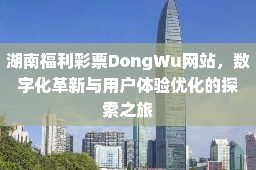 湖南福利彩票DongWu网站，数字化革新与用户体验优化的探索之旅