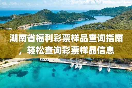 湖南省福利彩票样品查询指南，轻松查询彩票样品信息