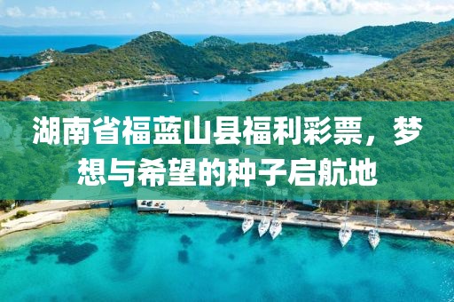 湖南省福蓝山县福利彩票，梦想与希望的种子启航地