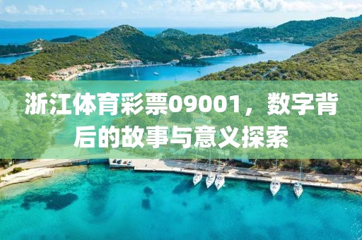 浙江体育彩票09001，数字背后的故事与意义探索