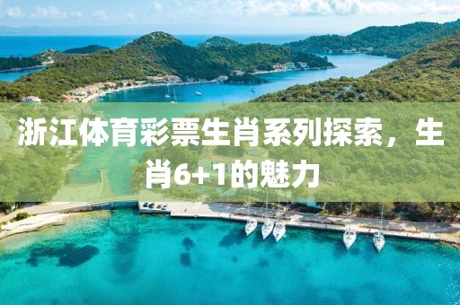 浙江体育彩票生肖系列探索，生肖6+1的魅力