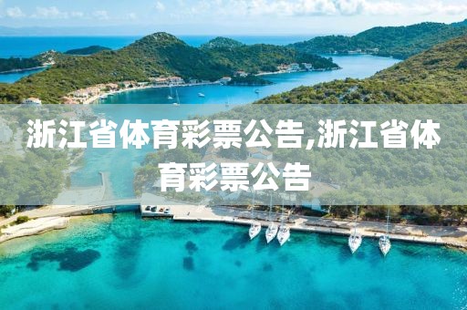 浙江省体育彩票公告,浙江省体育彩票公告