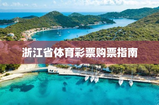 浙江省体育彩票购票指南