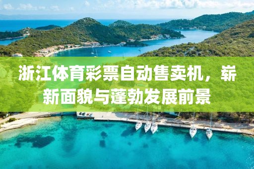 浙江体育彩票自动售卖机，崭新面貌与蓬勃发展前景