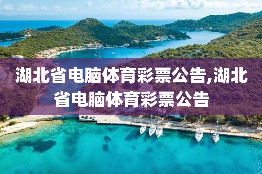 湖北省电脑体育彩票公告,湖北省电脑体育彩票公告