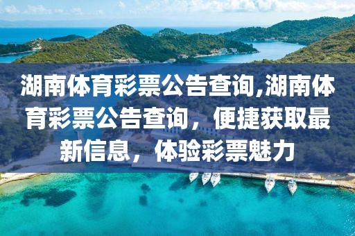 湖南体育彩票公告查询,湖南体育彩票公告查询，便捷获取最新信息，体验彩票魅力