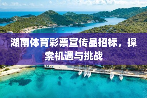 湖南体育彩票宣传品招标，探索机遇与挑战